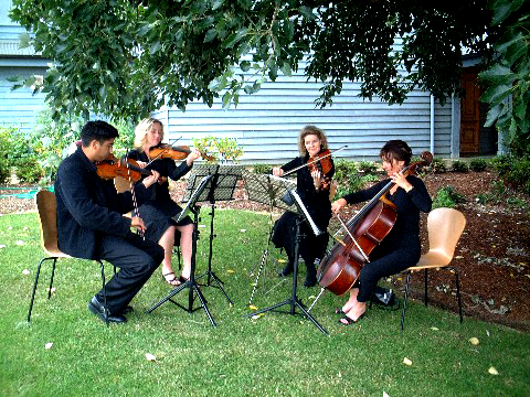 Davey-String-Quartet-at-Meadowbank